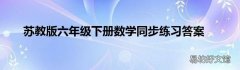 苏教版六年级下册数学同步练习答案