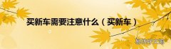买新车 买新车需要注意什么
