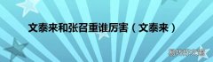 文泰来 文泰来和张召重谁厉害