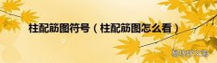 柱配筋图怎么看 柱配筋图符号