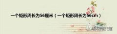 一个矩形周长为56cm 一个矩形周长为56厘米