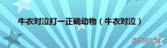 牛衣对泣 牛衣对泣打一正确动物