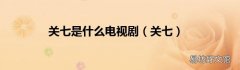 关七 关七是什么电视剧