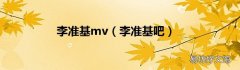 李准基吧 李准基mv