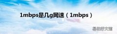 1mbps 1mbps是几g网速