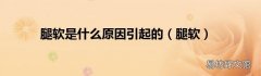 腿软 腿软是什么原因引起的