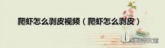 爬虾怎么剥皮 爬虾怎么剥皮视频