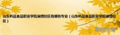 山东药品食品职业学院淄博校区 山东药品食品职业学院淄博校区有哪些专业