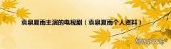 袁泉夏雨个人资料 袁泉夏雨主演的电视剧