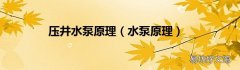 水泵原理 压井水泵原理