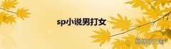 sp小说男打女