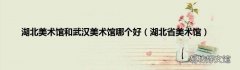 湖北省美术馆 湖北美术馆和武汉美术馆哪个好
