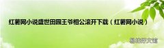 红薯网小说 红薯网小说盛世田园王爷相公滚开下载