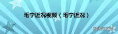 毛宁近况 毛宁近况视频