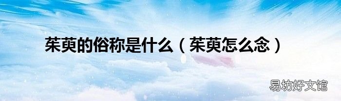茱萸怎么念 茱萸的俗称是什么