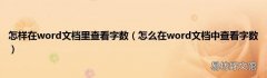 怎么在word文档中查看字数 怎样在word文档里查看字数