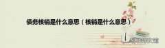 核销是什么意思 债务核销是什么意思