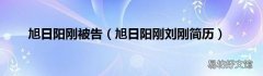 旭日阳刚刘刚简历 旭日阳刚被告
