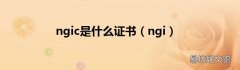 ngi ngic是什么证书