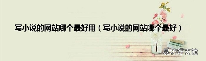 写小说的网站哪个最好 写小说的网站哪个最好用