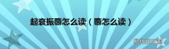 隳怎么读 起衰振隳怎么读