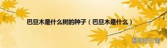 巴旦木是什么 巴旦木是什么树的种子