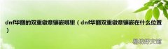 dnf华丽双重徽章镶嵌在什么位置 dnf华丽的双重徽章镶嵌哪里