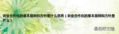 农业合作化的基本原则和方针是什么 农业合作化的基本原则和方针是什么意思