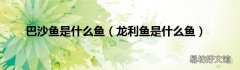 龙利鱼是什么鱼 巴沙鱼是什么鱼