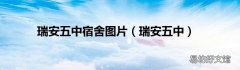 瑞安五中 瑞安五中宿舍图片