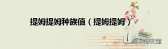 提姆提姆 提姆提姆种族值