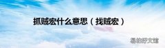 找贼宏 抓贼宏什么意思