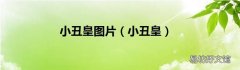 小丑皇 小丑皇图片