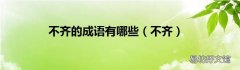 不齐 不齐的成语有哪些