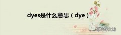 dye dyes是什么意思