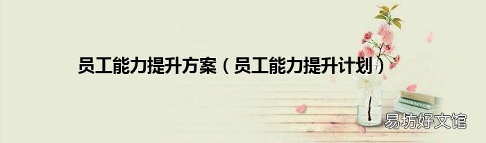 员工能力提升计划 员工能力提升方案