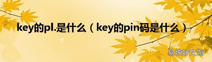 key的pin码是什么 key的pl.是什么