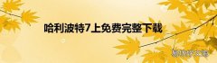 哈利波特7上免费完整下载