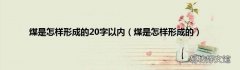 煤是怎样形成的 煤是怎样形成的20字以内
