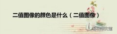 二值图像 二值图像的颜色是什么