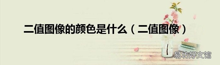 二值图像 二值图像的颜色是什么