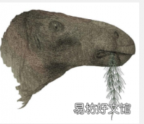 研究揭示英国百年来发现的最完整的恐龙