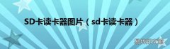 sd卡读卡器 SD卡读卡器图片