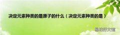 决定元素种类的是 决定元素种类的是原子的什么