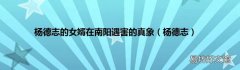 杨德志 杨德志的女婿在南阳遇害的真象