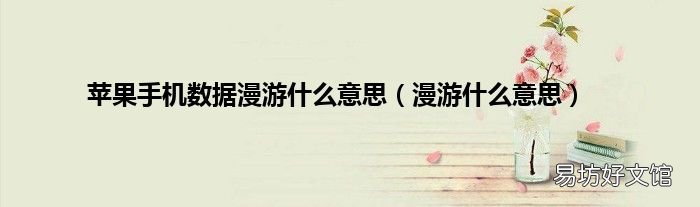 漫游什么意思 苹果手机数据漫游什么意思