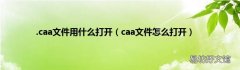 caa文件怎么打开 .caa文件用什么打开