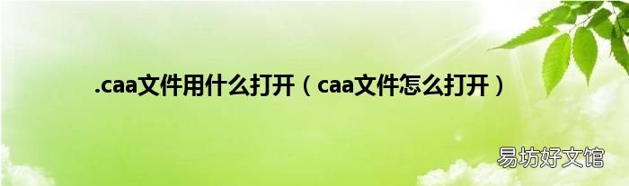 caa文件怎么打开 .caa文件用什么打开