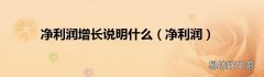 净利润 净利润增长说明什么