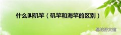 矶竿和海竿的区别 什么叫矶竿